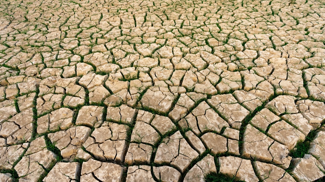 Quang Nguyen Vinh/Pexels