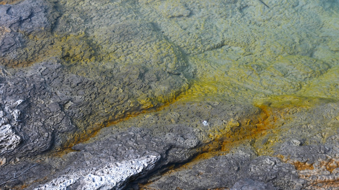 Siegfried Poepperl/Pexels