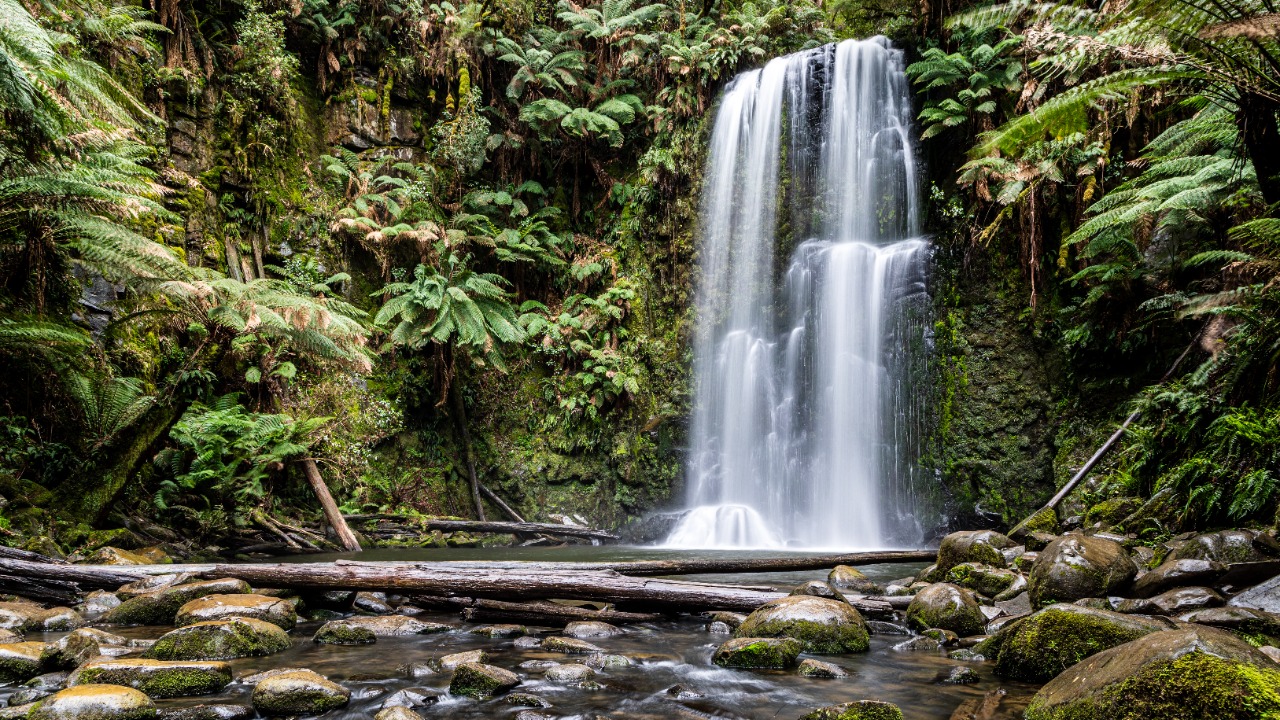 How the National Park Service is quietly erasing pieces of American history