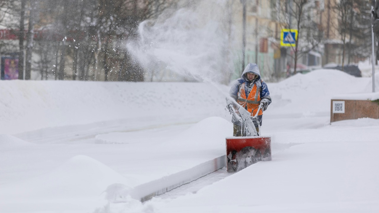 Sergei Starostin/Pexels