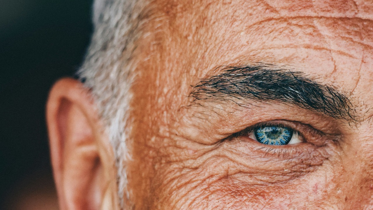 Scientists are uncovering how aging can actually be slowed down
