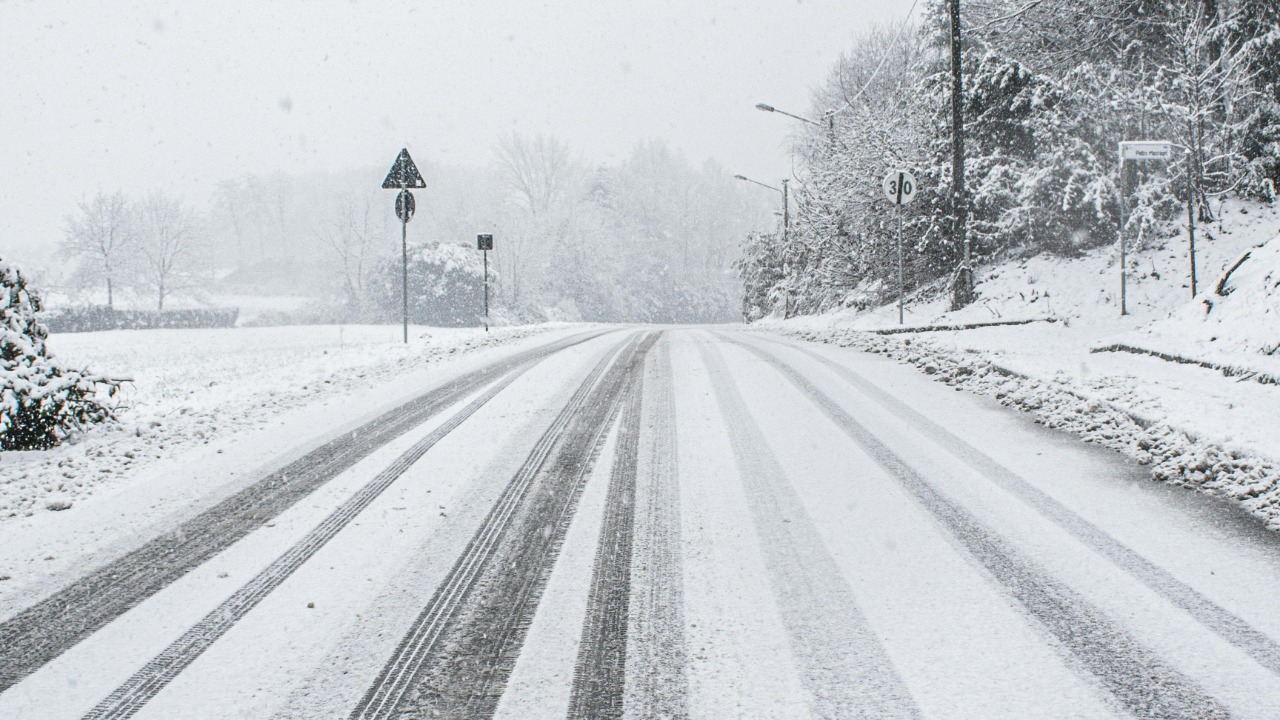 Federico Arnaboldi/Pexels