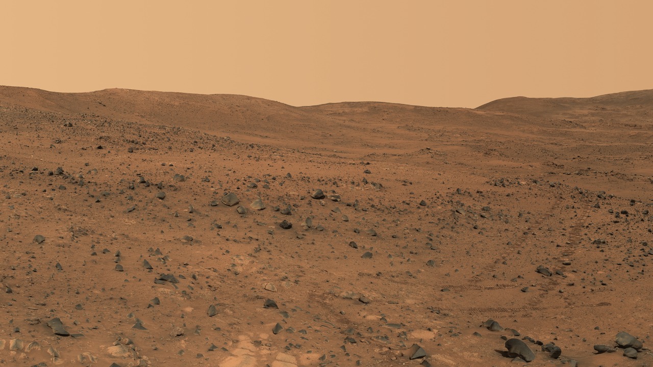 NASA Curiosity spots Mars rock that looks uncannily like ocean coral