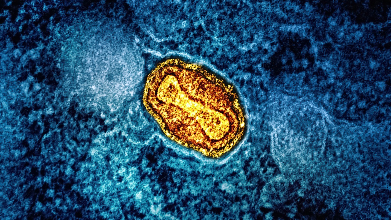 These 2 stealthy viruses could trigger the next major health crisis
