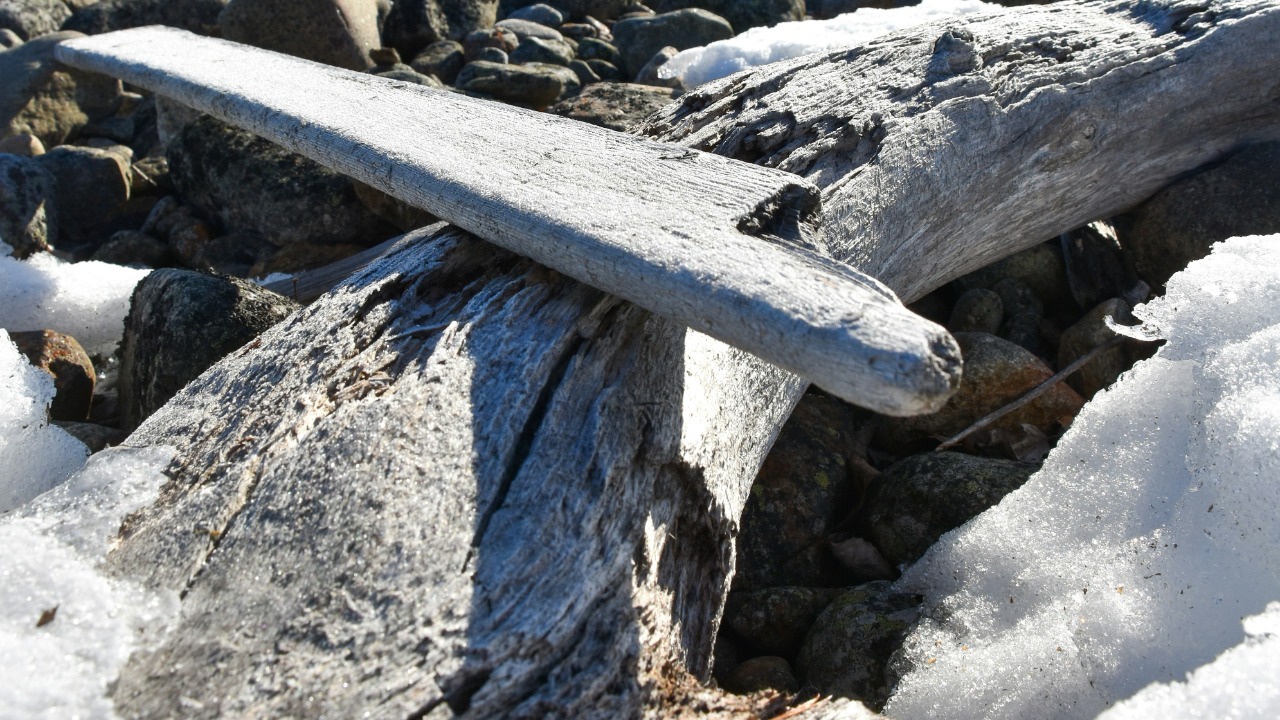 Sonar off Germany finds 11,000 year old Ice Age reindeer mega trap