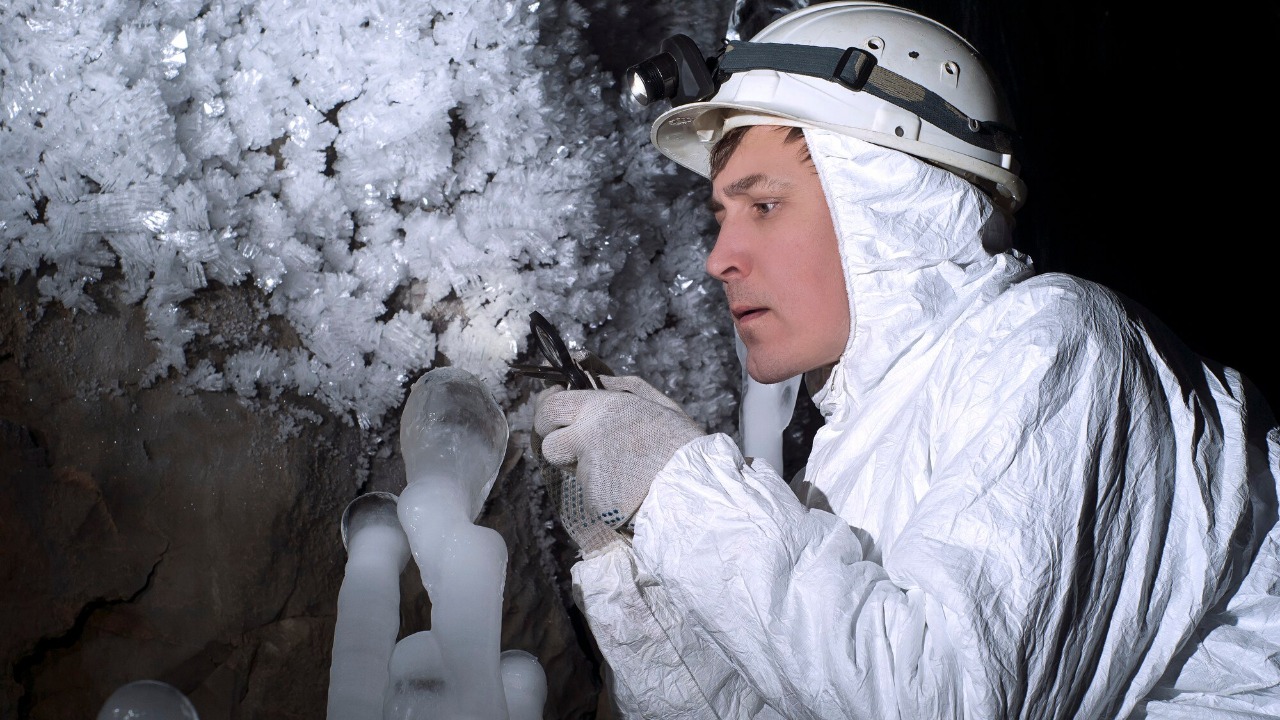 Scientists uncover 90 bizarre new species frozen 512 million years ago