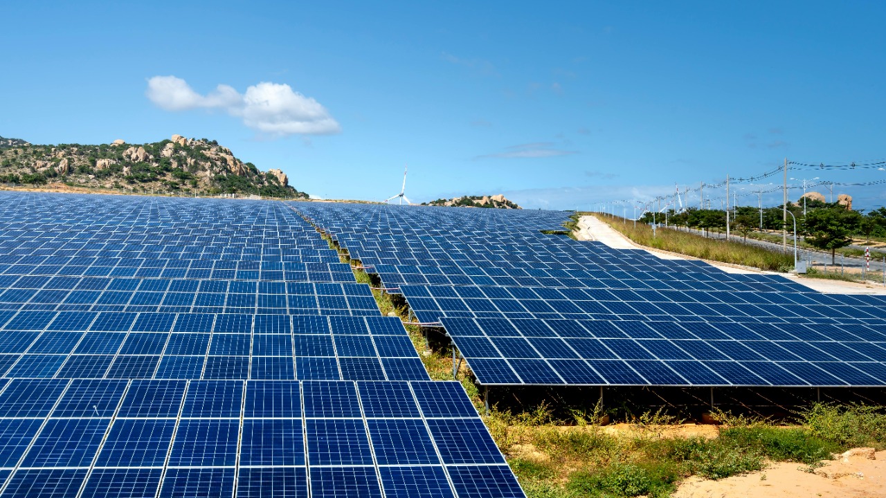 Quang Nguyen Vinh/Pexels