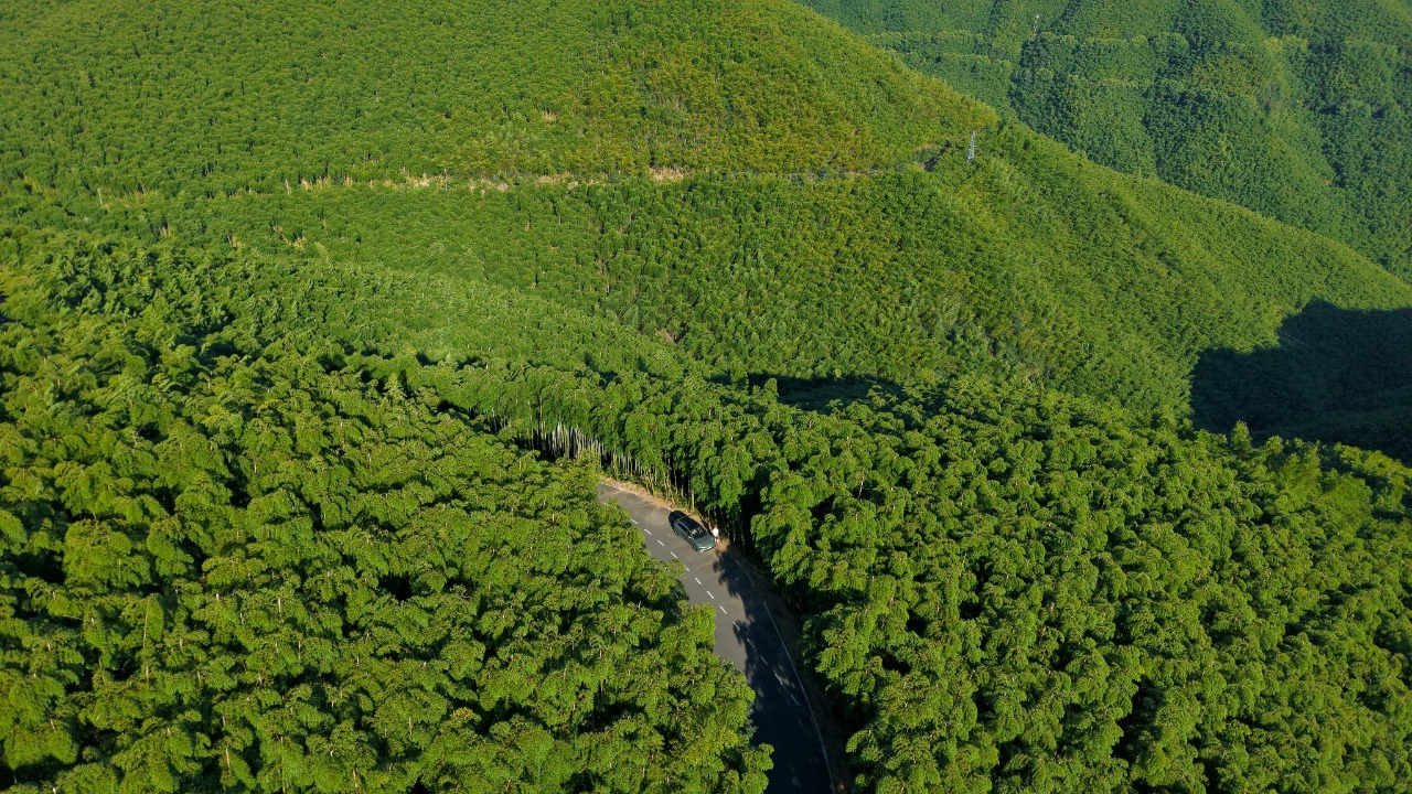 doublez0108/Unsplash