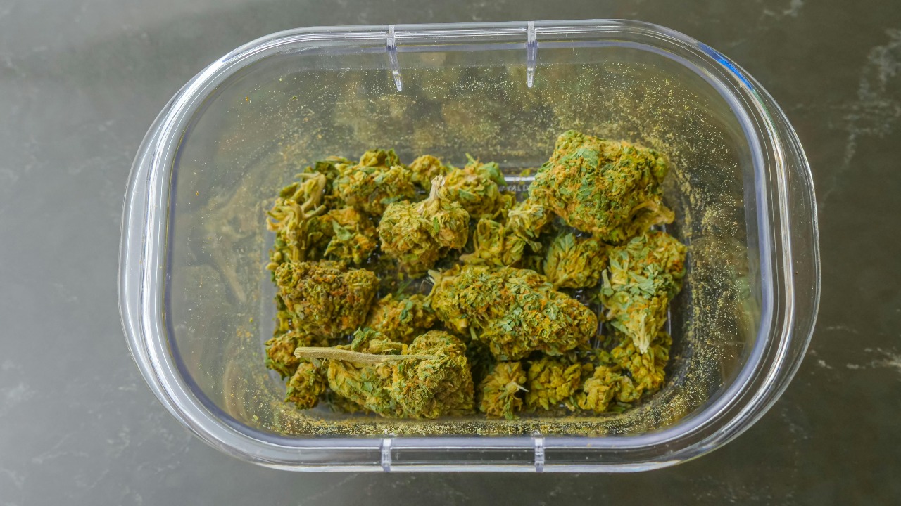 Marijuana compound and cheap pain pill team up to stop Alzheimer’s