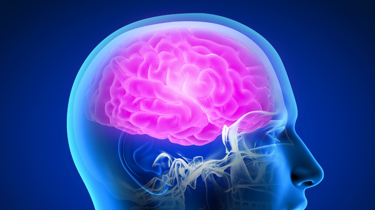 Your mind and the universe may be built from the same bizarre particle