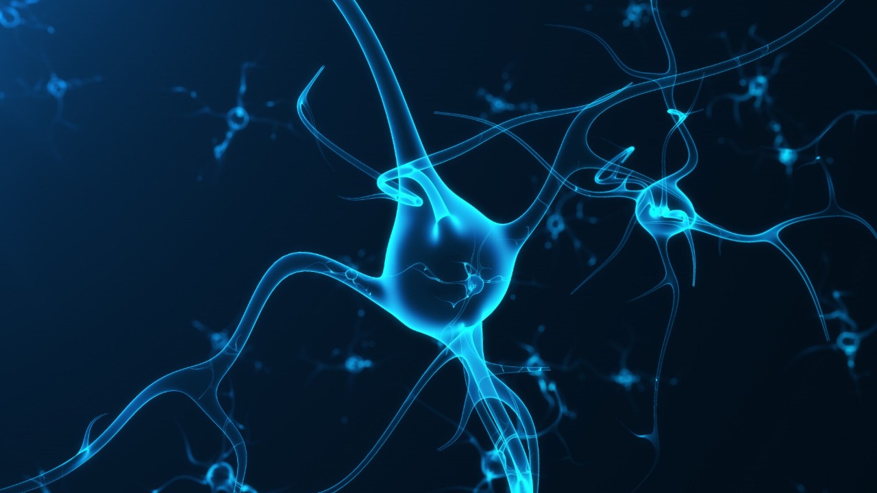 Once neuron sidekicks, astrocytes now seen as the real brain bosses