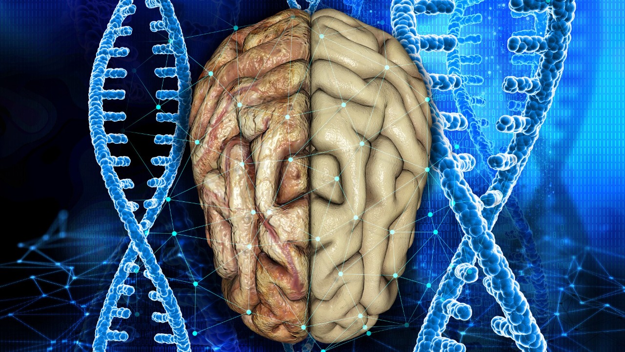 Depression risk in your DNA linked to striking brain structure changes