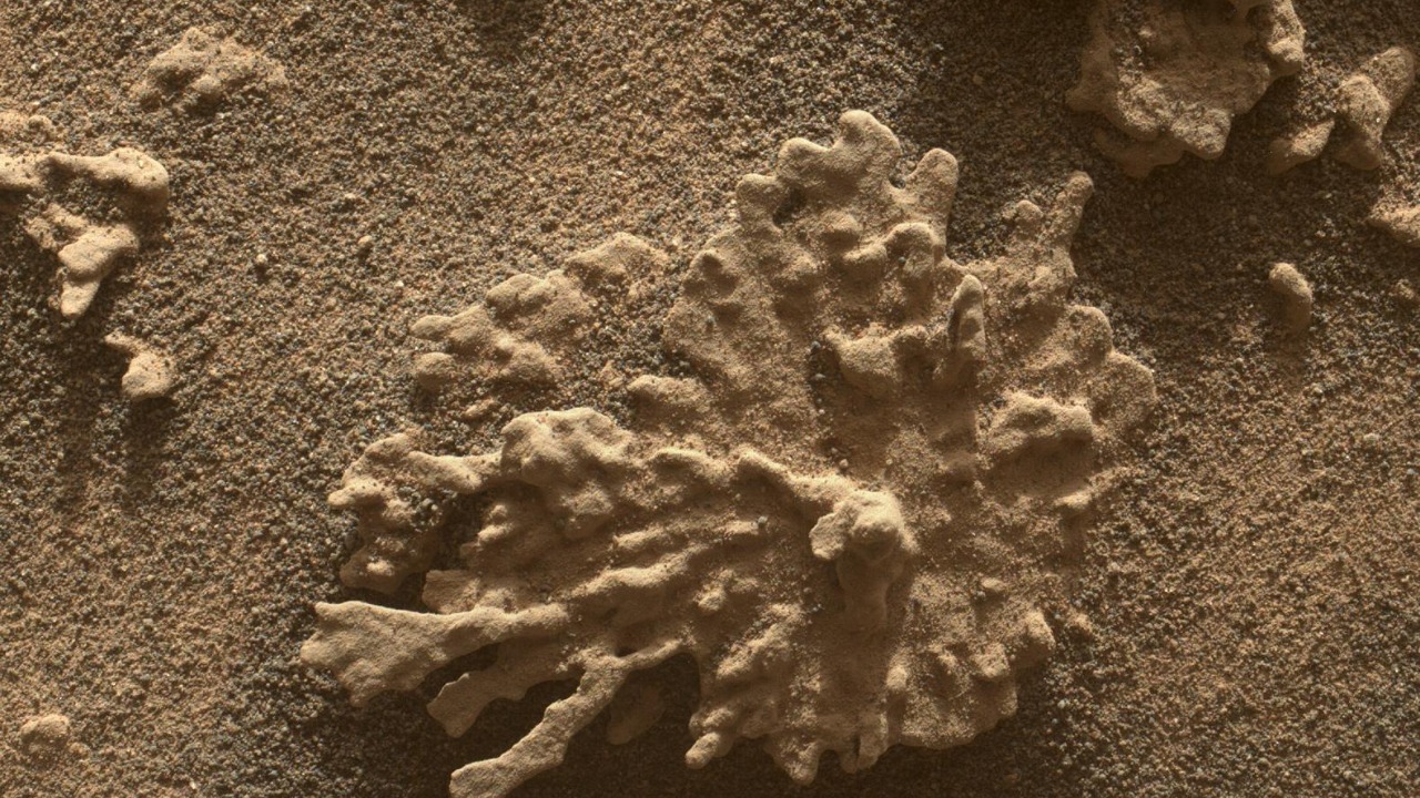 NASA unveils strongest signs yet of ancient life on Mars