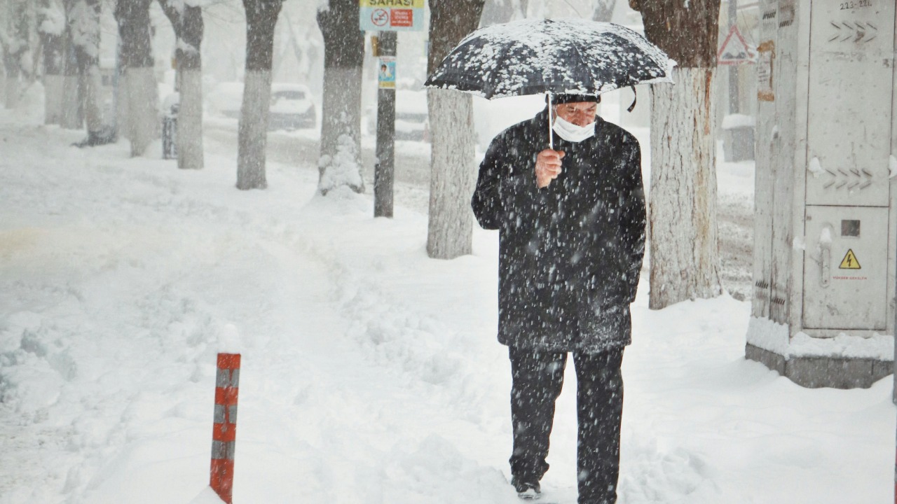 Serkan Gönültaş/Pexels