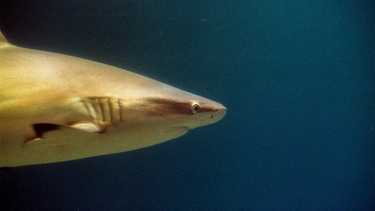 artistseyes/Unsplash