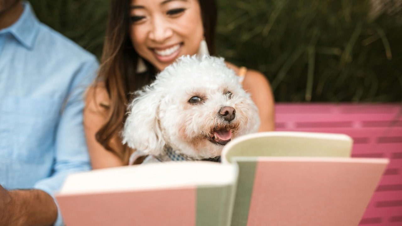 RDNE Stock project/Pexels