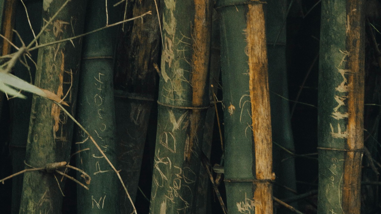 Adedire Abiodun/Pexels