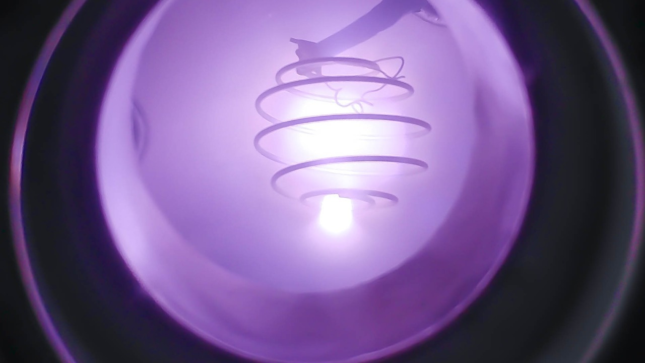 Image Credit: Samuel Low – CC BY 4.0/Wiki Commons