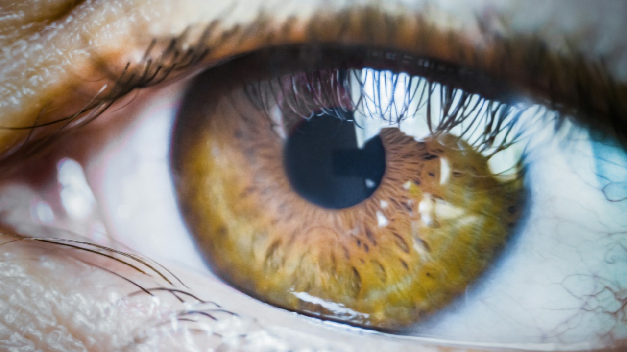 Researchers think they’ve found a path to restoring human vision