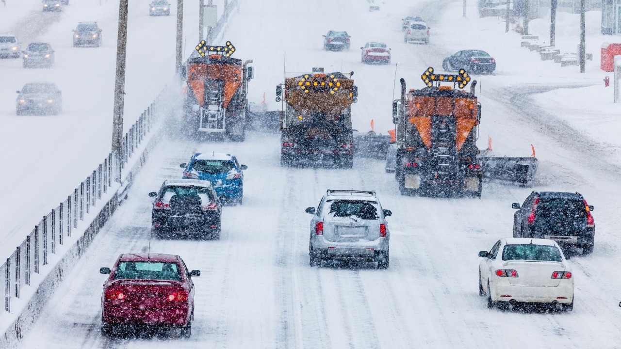 Tree Linedup Snowplows Clearing the Highway