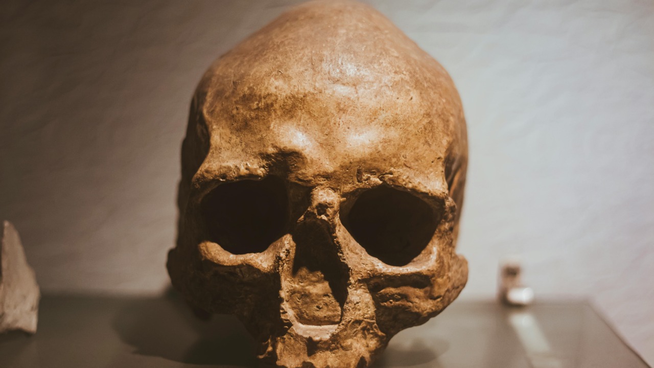 3.4M-year-old fossil find could erase Lucy from human evolution story