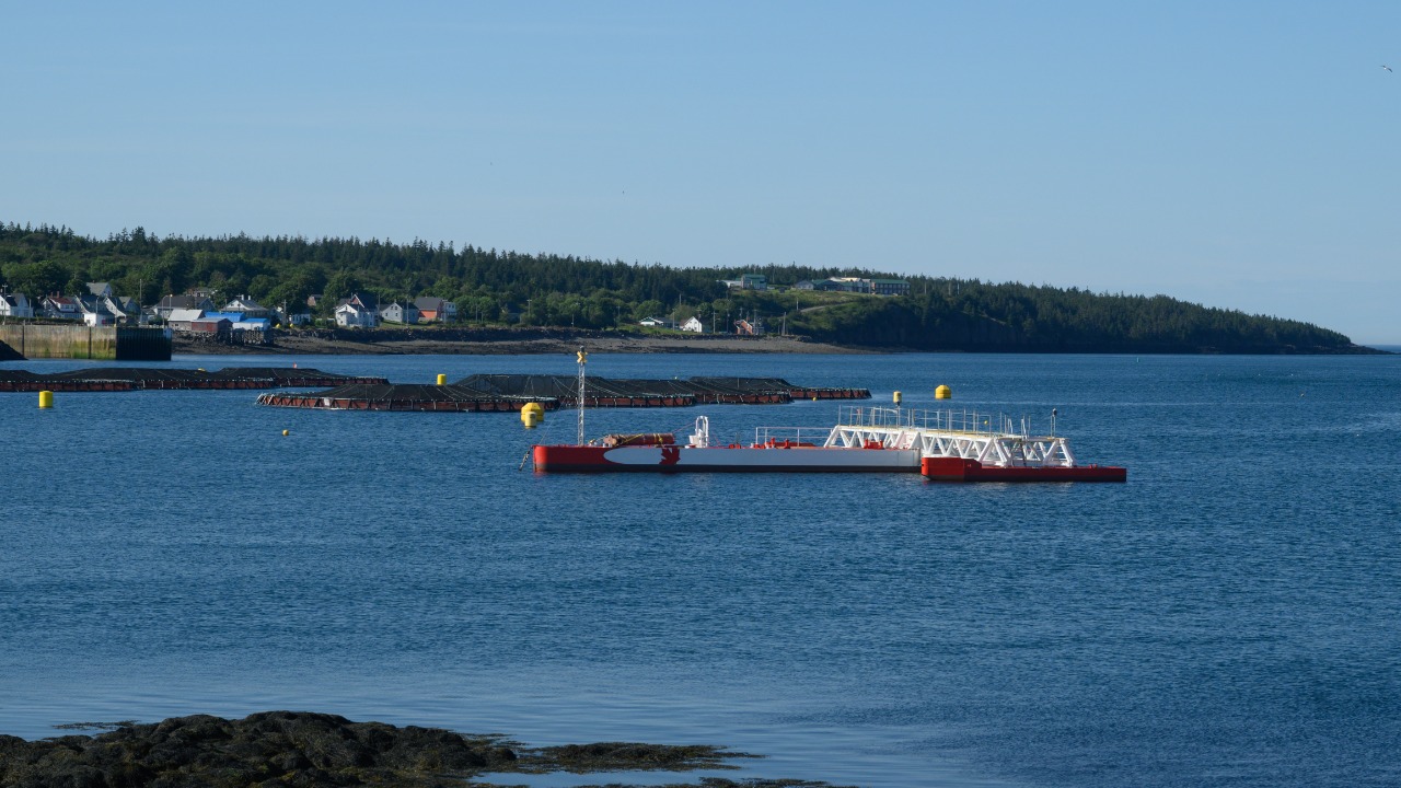 How tidal and wave energy could flip the script on renewable power forever