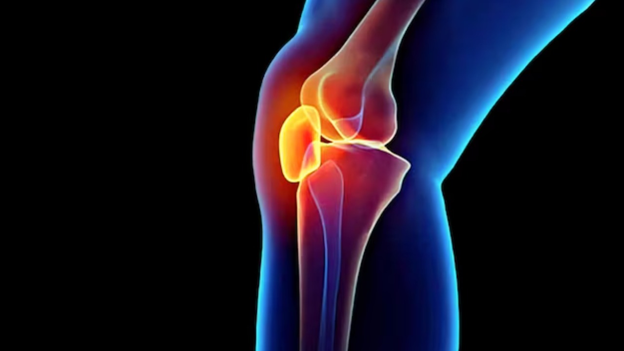 Scientists discover how to regrow cartilage without using stem cells