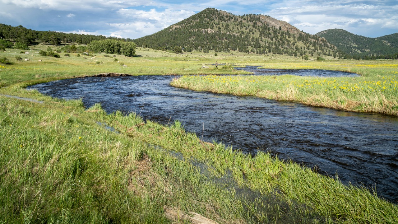 Officials sound alarm after dangerous creatures found in water supply and say ‘it is absolutely a big problem’