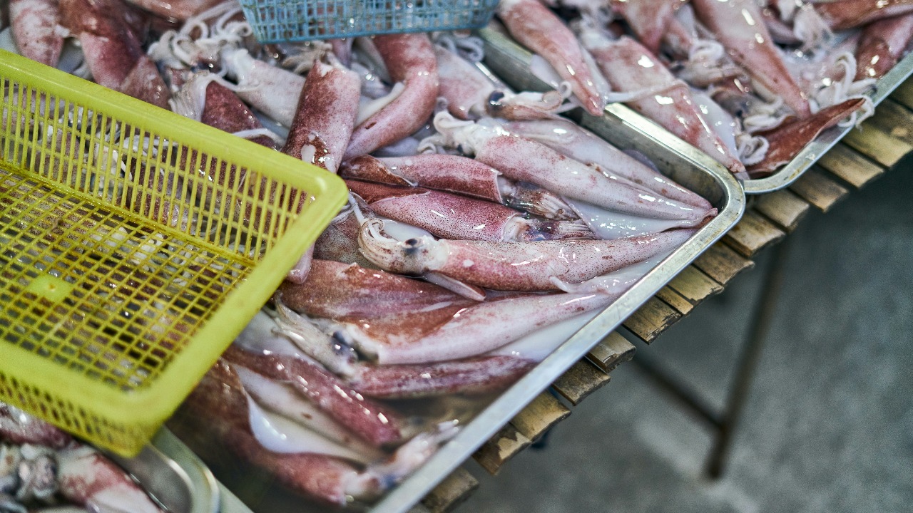 Officials warn a looming crisis could wipe out 80% of seafood species