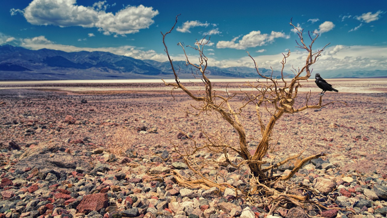 Is nature about to supercharge climate change even more?