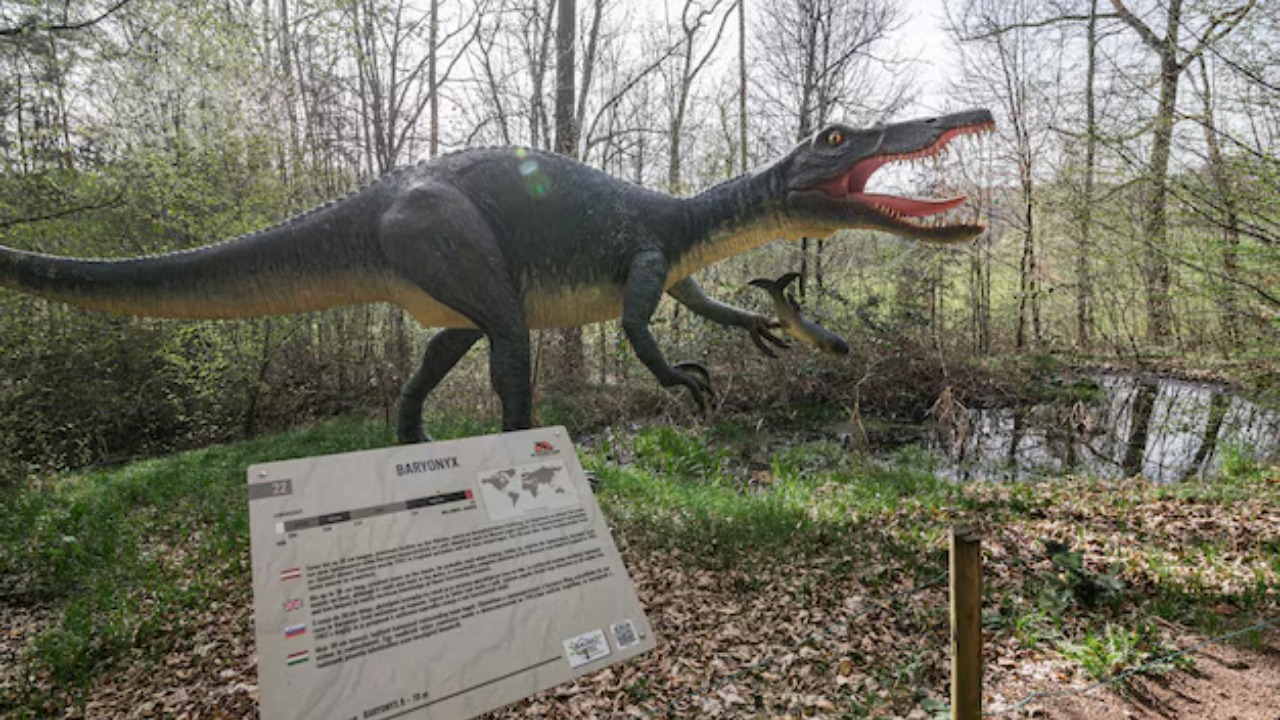 What ruled Earth after dinosaurs vanished is still being unearthed