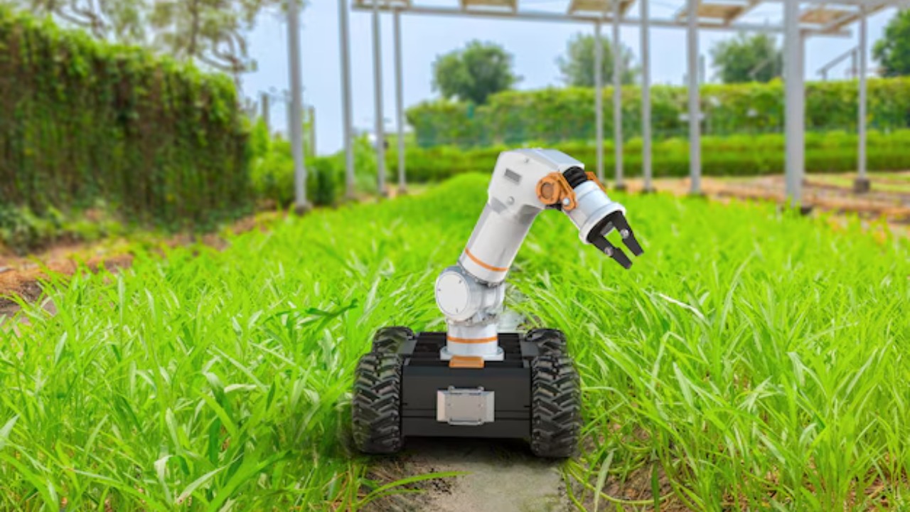 150M plants one colossal digital forest built by a US robotics firm