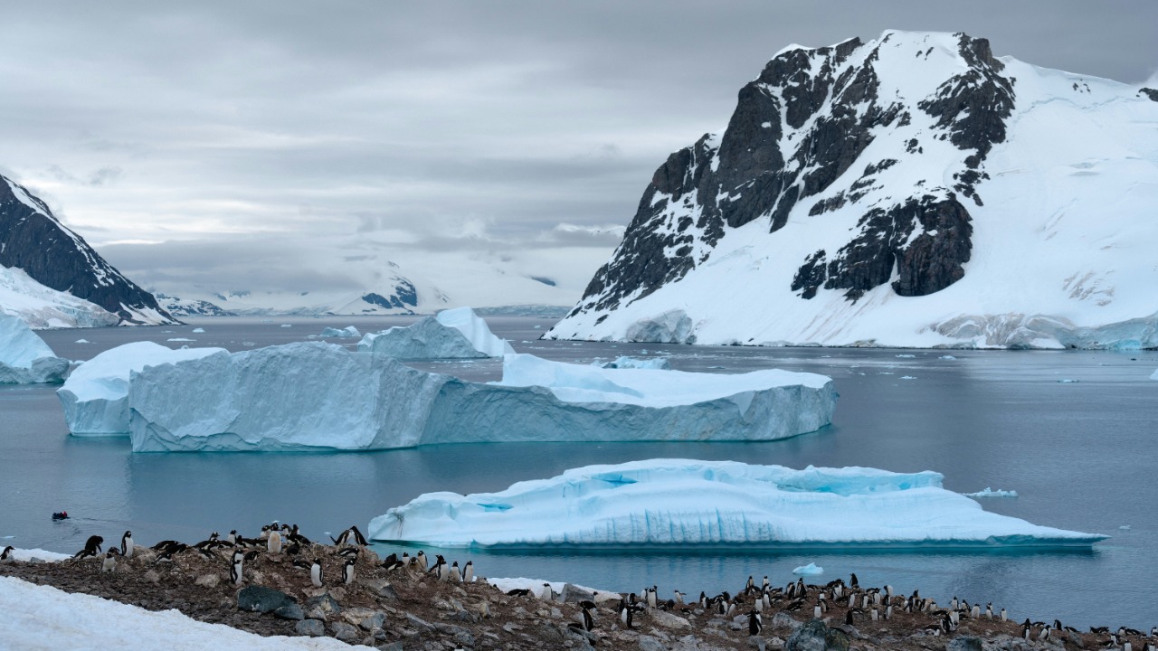 Massive 60-mile stone giant breaks free from Antarctica’s ancient ice
