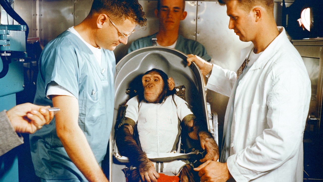 The weird primate that could unlock deep space travel for humans NASA