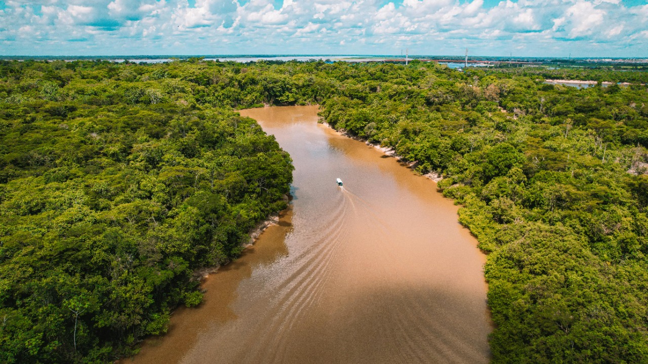 Amazon — Image Credit: Nando Freitas/Pexels