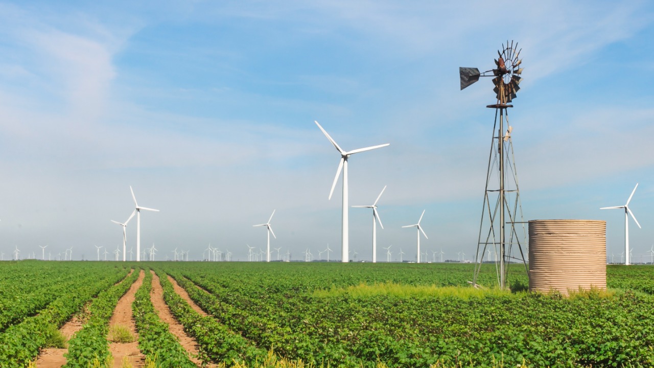 Roscoe Wind Farm — Image Credit: Matthew T Rader - CC BY-SA 4.0/Wiki Commons