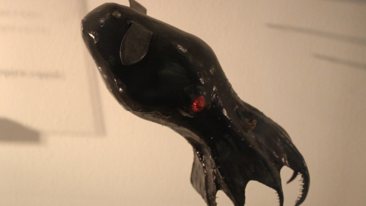 Vampire Squid — Image Credit: Emőke Dénes - CC BY-SA 4.0/Wiki Commons