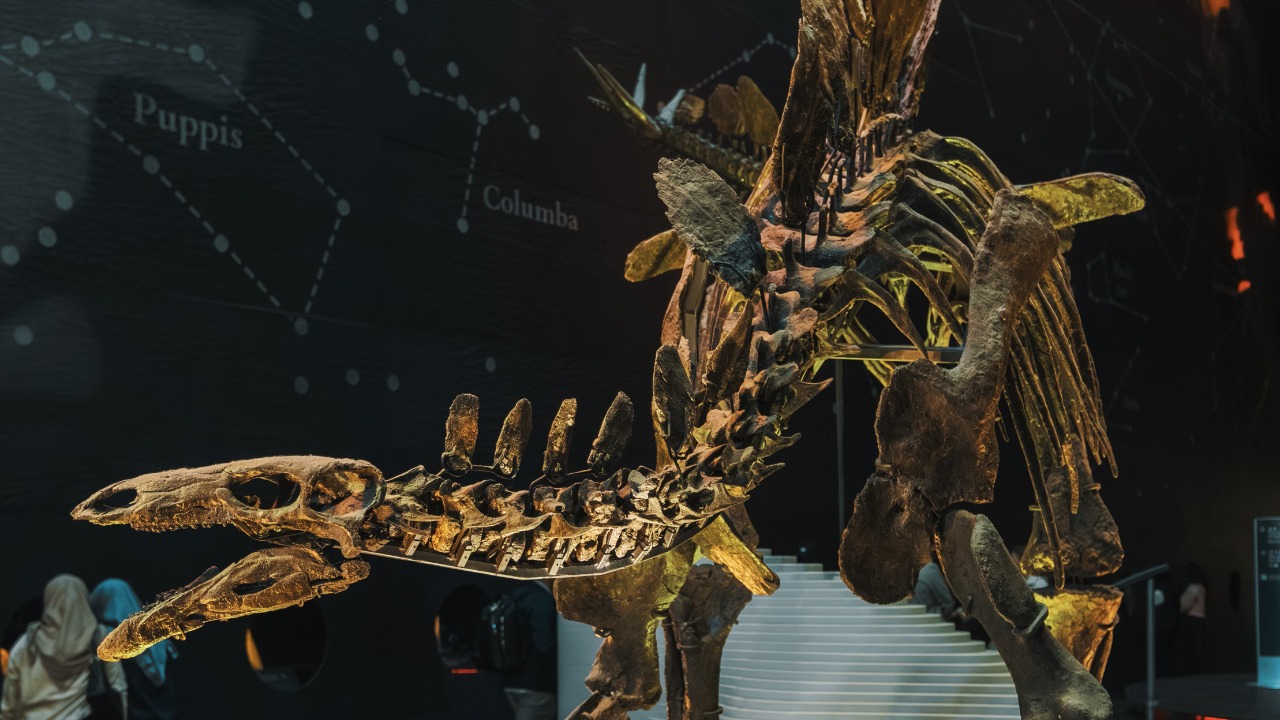 Stegosaurus — Image Credit: Matheus Bertelli/Pexels