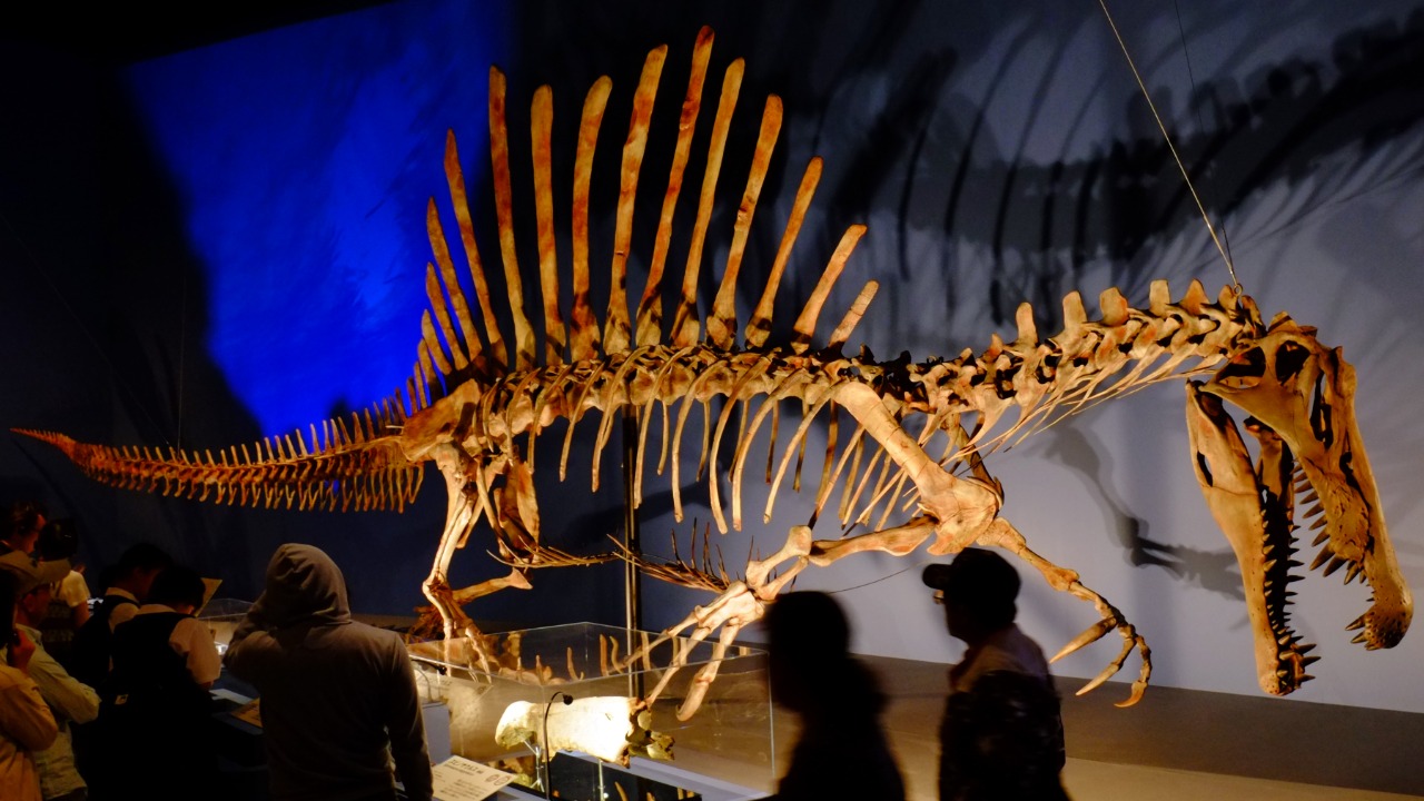 Spinosaurus — Image Credit: ★Kumiko★ - CC BY-SA 2.0/Wiki Commons