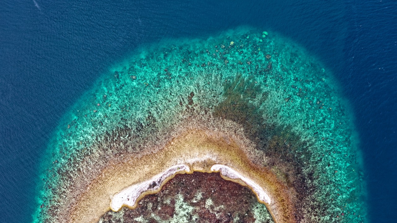 Coral — Image Credit: Tom Fisk/Pexels