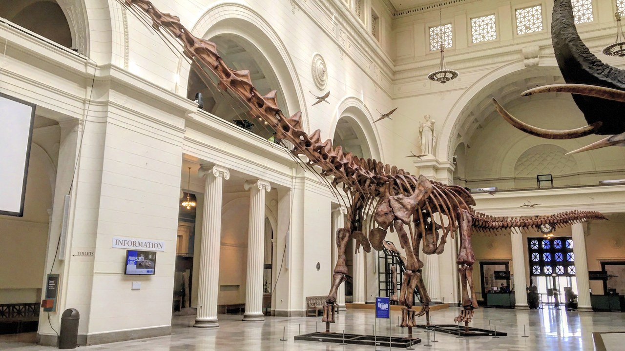 Patagotitan — Image Credit: Zissoudisctrucker - CC BY-SA 4.0/Wiki Commons