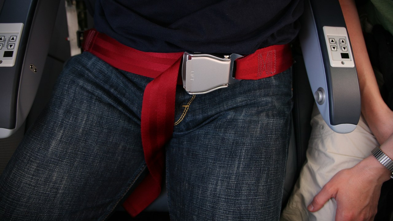 Seat belt — Image Credit: Daniel Schwen - CC BY-SA 4.0/Wiki Commons