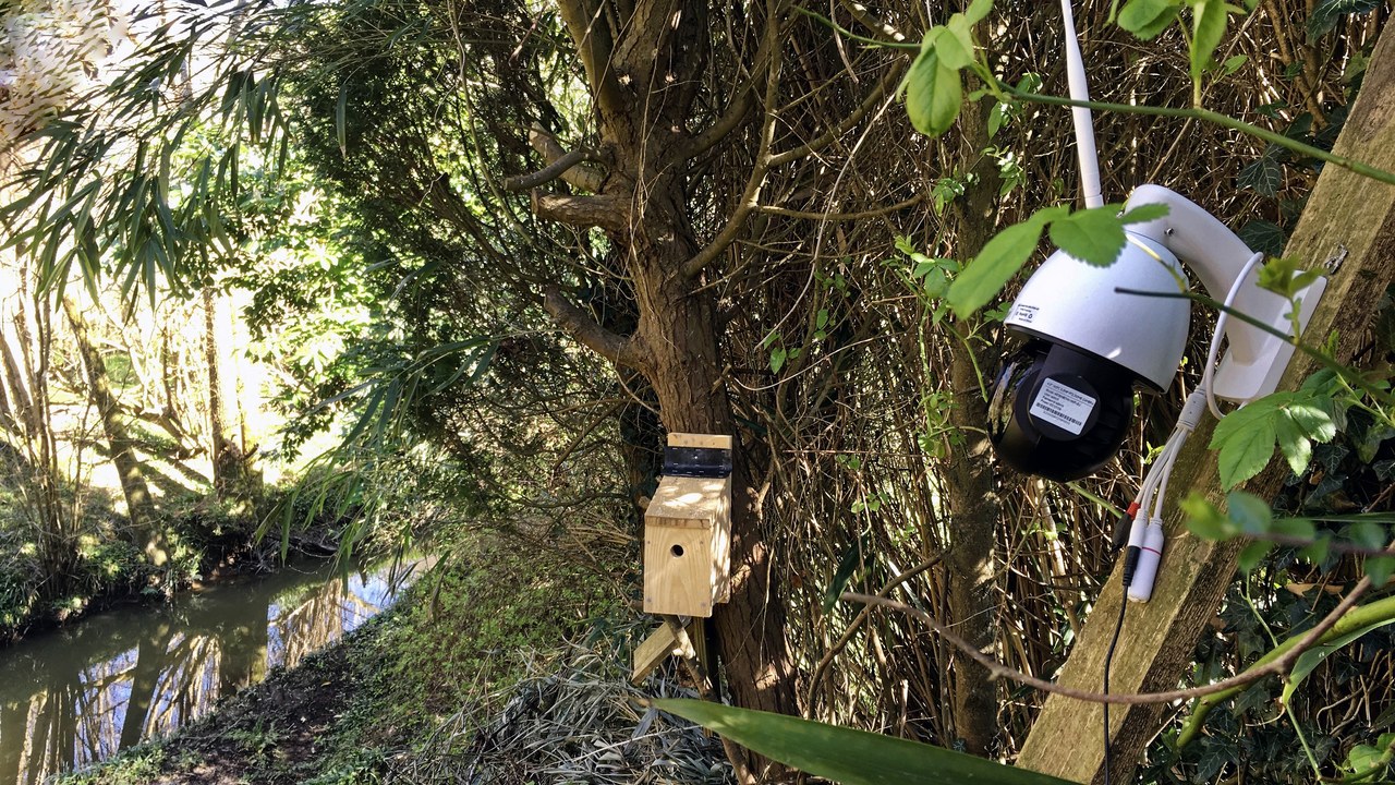 IP camera — Image Credit: Acabashi - CC BY-SA 4.0/Wiki Commons