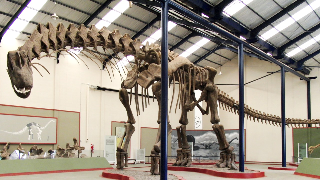 Argentinosaurus — Image Credit: William Irvin Sellers - CC BY 2.5/Wiki Commons