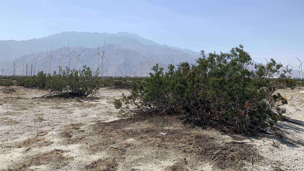 San Gorgonio Pass Wind Farm — Image Credit: APK - CC BY-SA 4.0/Wiki Commons