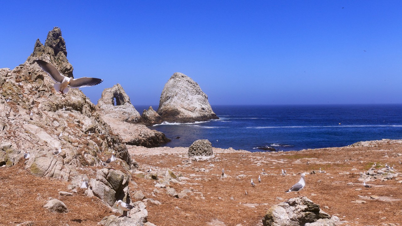 Farallon Islands — Image Credit: USFWS Pacific Southwest Region - Public domain/Wiki Commons
