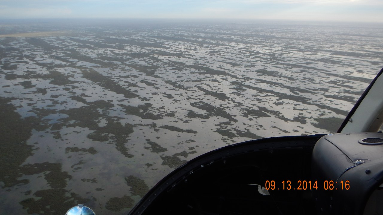 Everglades — Image Credit: USEPA Environmental-Protection-Agency - Public domain/Wiki Commons