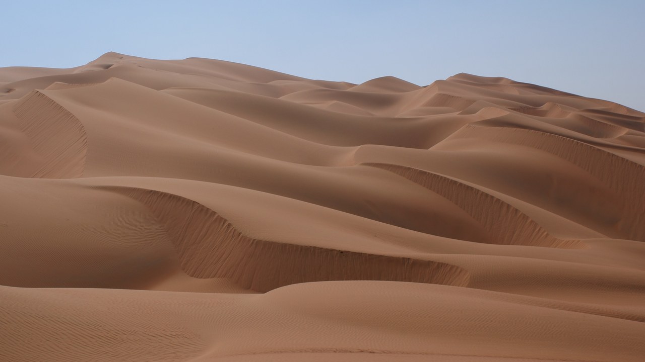 Arabian Desert — Image Credit: Nepenthes - CC BY-SA 3.0/Wiki Commons