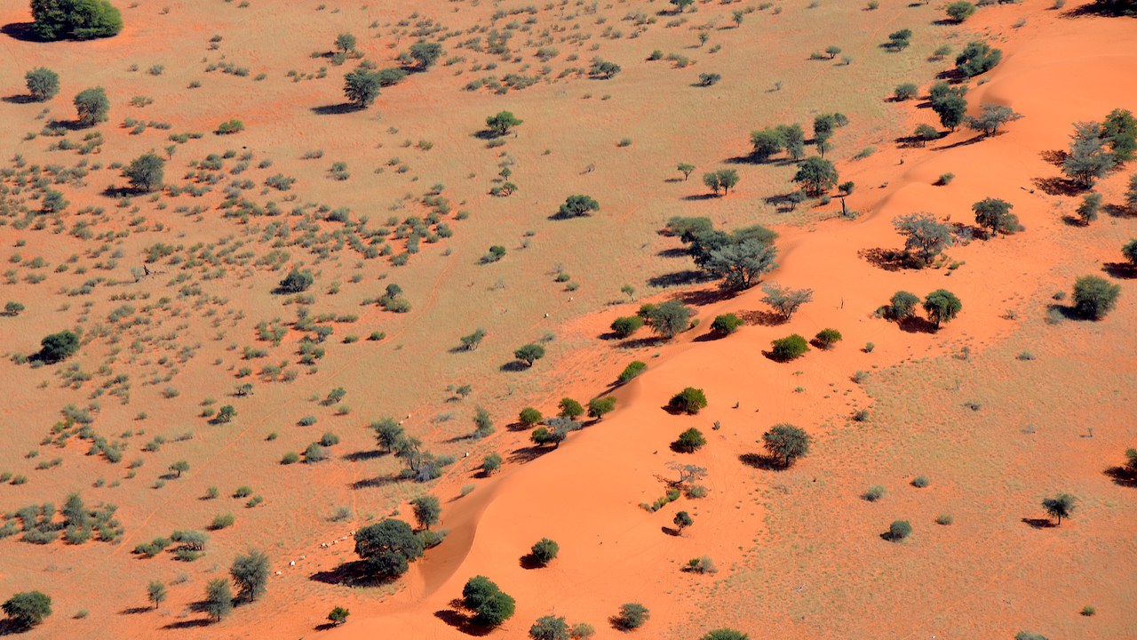 Kalahari Desert — Image Credit: Olga Ernst & Hp.Baumeler - CC BY-SA 4.0/Wiki Commons