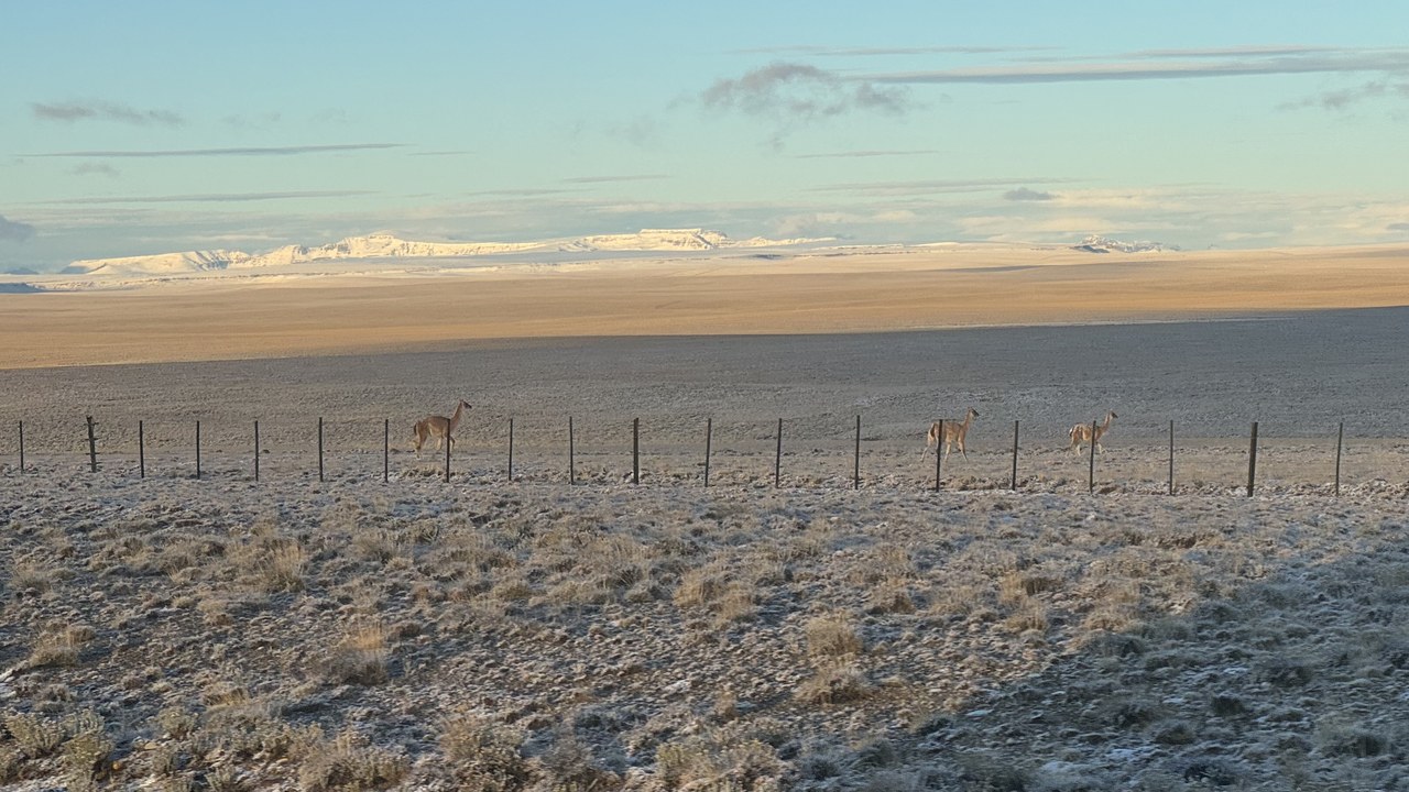 Patagonian Desert — Image Credit: Remarksman - CC BY 2.0/Wiki Commons